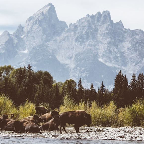 Meet your Posher, Scott - Picture 1 of 1